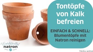 Blumentopf reinigen – Tontöpfe mit Natron von Kalk befreien [upl. by Quickman]