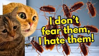 When a Cat is Afraid of Cockroaches catmemes talkingcats Ep52 [upl. by Etak]