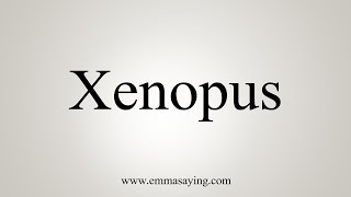 How To Say Xenopus [upl. by Alyahsat]