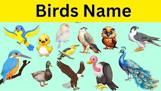 Birds Name  Birds Name in English  Basic English learning Birdsnames [upl. by Gnuoy777]