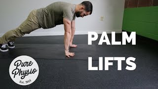 Palm Lifts  Wrist Exercise [upl. by Anayk]