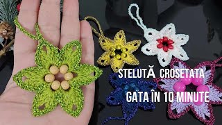 Steluta crosetata  Gata in 10 minute [upl. by Notaes364]