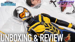 Hot Toys Wasp AntMan and The Wasp Quantumania Unboxing amp Review [upl. by Nnylsoj]