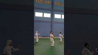 Heian Sandan  shotokan karate  karate kata 3shorts [upl. by Yrffej]