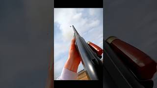 Top 3 Legendary Shots in Pigeon Hunting pigeonhunting birdhunt pigeonfancier chasse aux pigeons [upl. by Halley404]