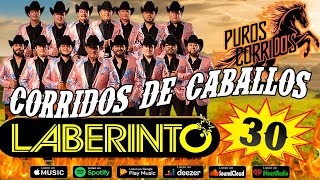 Los Mejores Corridos De Caballos De Laberinto Éxitos 🏇 Grupo Laberinto Caballos Famosos Mix 🏇 [upl. by Enilegna138]