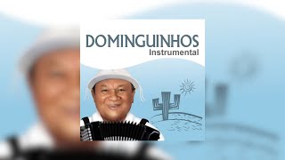 Dominguinhos  quotTreze de Dezembroquot Dominguinhos Instrumental2014 [upl. by Annawoj343]