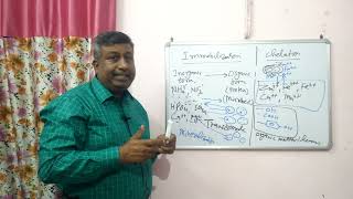 Difference in Nutrient Immobilization and Chelation [upl. by Anwahs]