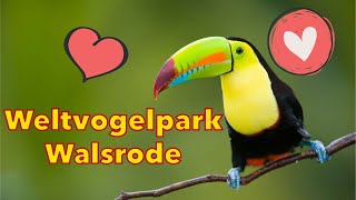 Weltvogelpark Walsrode [upl. by Elatia364]