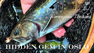 Norwegian Tenkara  Episode 04 Fishing hidden Fly Fishing Gem for rare fish at tiny creek in Oslo [upl. by Haimarej]