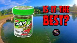 Are Gulp Minnows the Best Lure Ever  Lures that Catch Everything [upl. by Yrome]