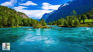 3 Hours of Amazing Nature Scenery amp Relaxing Music for Stress Relief [upl. by Akkeber931]