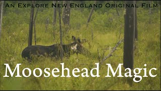 Moosehead Magic Full Film [upl. by Aimik72]