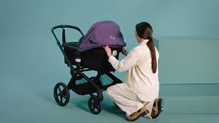 Bugaboo Fox 5 How to assemble use and take care of your stroller  Bugaboo [upl. by Compte]