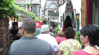 world famous Drosselgasse Rudesheim Germany [upl. by Rosenbaum549]