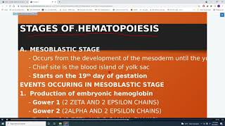 HEMA LEC LESSON 2 HEMATOPOIESIS INTRO END OF ERYTHROPOIESIS [upl. by Namzzaj]