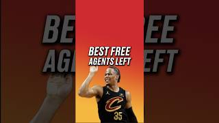 Best Free Agents Left nba basketball hoops [upl. by Harwell487]