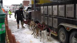 And they re ruff Thrills at World Championship Sled Dog Race [upl. by Dietrich]