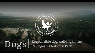 Dog walking in the Cairngorms National Park full version [upl. by Ardiek988]