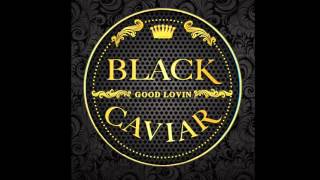 Black Caviar  Good Lovin [upl. by Acilef]