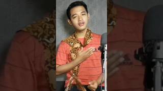 Rohman ya Rohman cover coversong voiceeffects music coverlagu shorts [upl. by Hnah]