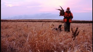 Pheasants Forever A Call to Action [upl. by Siubhan237]