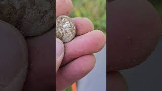 Surprise Silver Coin Found Metal Detecting Colonial Field [upl. by Llennoc]