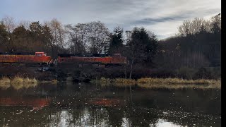 Late Autumn Action At Carkeek Park [upl. by Caneghem]