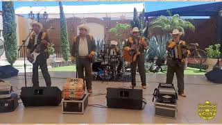 Los Llaneros de GuamuchilChuluqueando Video Oficial [upl. by Ashton]