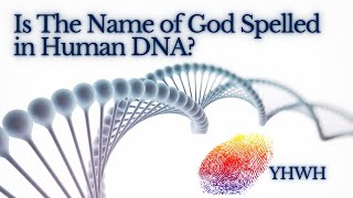 YHWH Is NOT Spelled In Human DNA Sequencing [upl. by Neeliak]