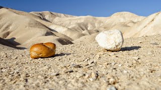 Sackcloth and ashes What is the importance of fasting [upl. by Seligmann]