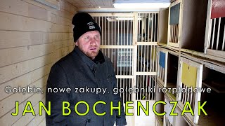 Bocheńczak Jan  gołębie nowe nabytki gołębniki rozpłodowe [upl. by Lindberg]