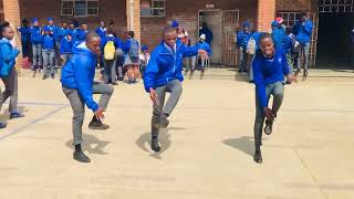 The Best Amapiano Dance of 2023 [upl. by Trotter847]