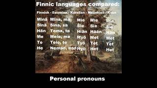 Finnic Languages Compared Finnish Estonian Karelian Meänkieli Kven Finland Estonia languages [upl. by Dymphia]