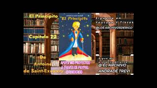 El principito  Audiolibro  Capitulo 22 [upl. by Lilahk]