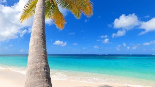 The Most Relaxing Beach Scenery Ever  with Ocean Sounds for Meditation Studying amp Sleep [upl. by Erialb]