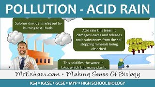 Pollution  Acid Rain  GCSE Biology 91 [upl. by Salvay]