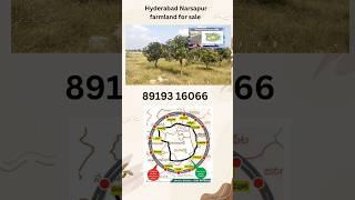 Narsapur farmland for sale hyderabad near open plotshyderabad farmlands [upl. by Noni]