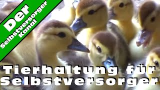 Tierhaltung fuer Selbstversorger [upl. by Kutchins]