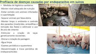 Aula Parasitologia  Doenças causadas por endoparasitos em suínos [upl. by Dressel417]