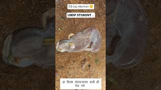 Abortion in 125 days 💯🐄 cow animaldoctor दूध [upl. by Sholes]