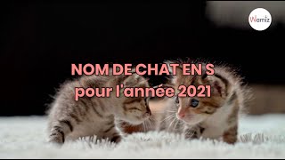 Nom de chat en S pour lannée 2021  trouvez de l’inspiration pour le prénom de votre chat [upl. by Letnahc]