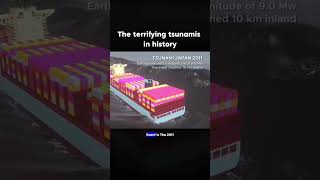 The terrifying tsunami in history disaster natural fyp short [upl. by Herm]