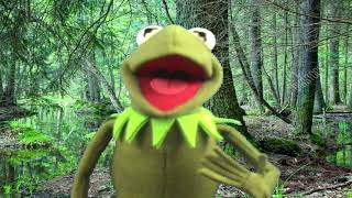 The Muppets  Kermit The Frog singing quotIts Not Easy Being Greenquot Replica Variant 60fps [upl. by Nawud]