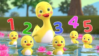 Number Song  Five Little Duckies  More Baby Songs  Beep Beep Nursery Rhymes [upl. by Paolo286]