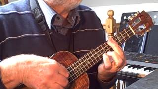 Amapola  Solo Ukulele  Colin Tribe on LEHO [upl. by Pollak254]