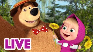 🔴 LIVE STREAM 🎬 Masha and the Bear 🌷 Springtime Spirit 🌼🌱 [upl. by Kellsie]