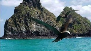 pescador na praia 🌴 [upl. by Anircam]