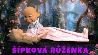 ŠÍPKOVÁ RŮŽENKA  Matýskovo šílené pohádky [upl. by Dehlia]