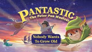 Nobody Wants To Grow Old  The Peter Pan Musical  Pantastic [upl. by Atela]